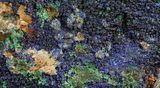 Large Malachite with Azurite Specimen - Morocco #61171-3